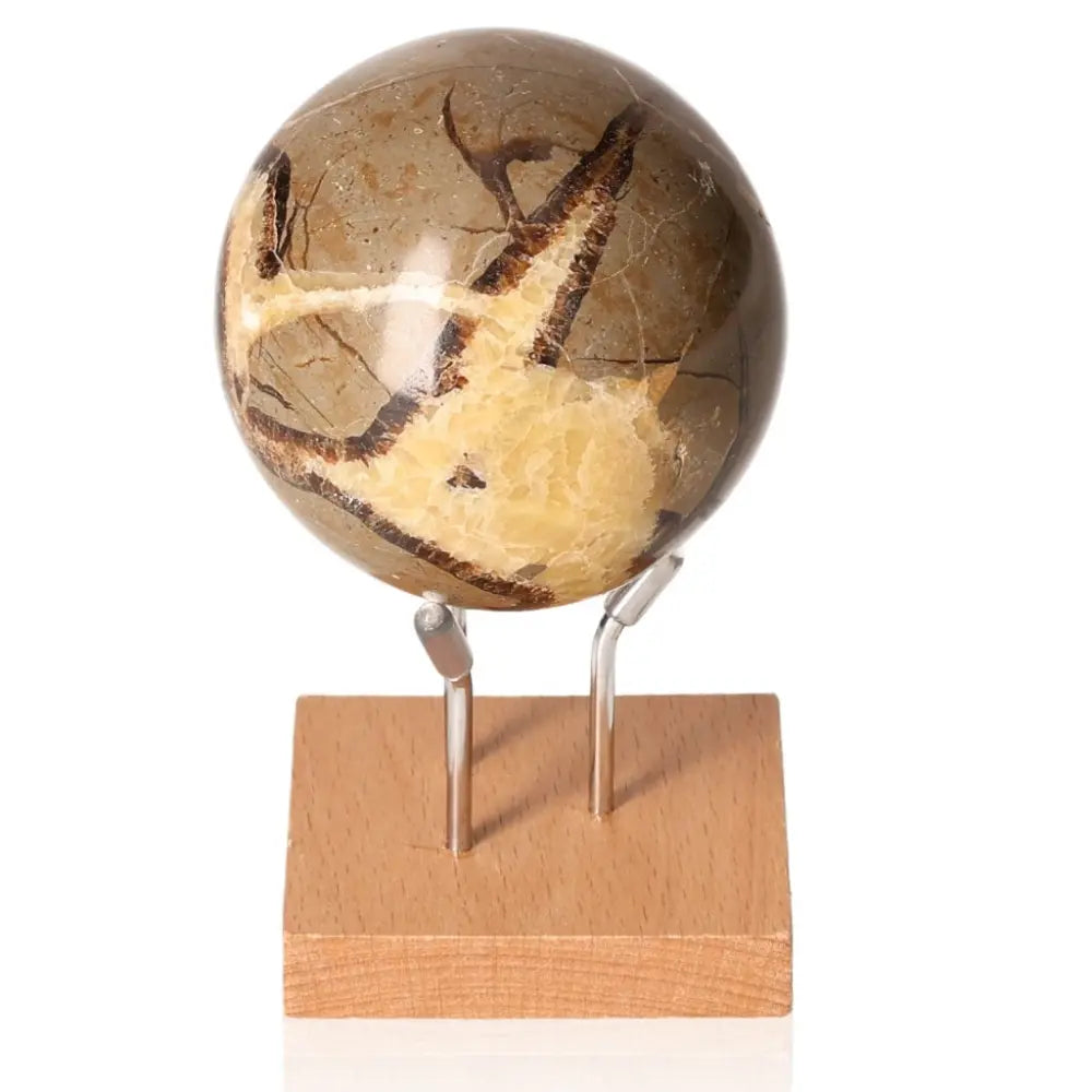 Septarian sphere on a wooden stand, featuring unique patterns and earthy tones, symbolizing strength and endurance, also known as Dragon Stone.