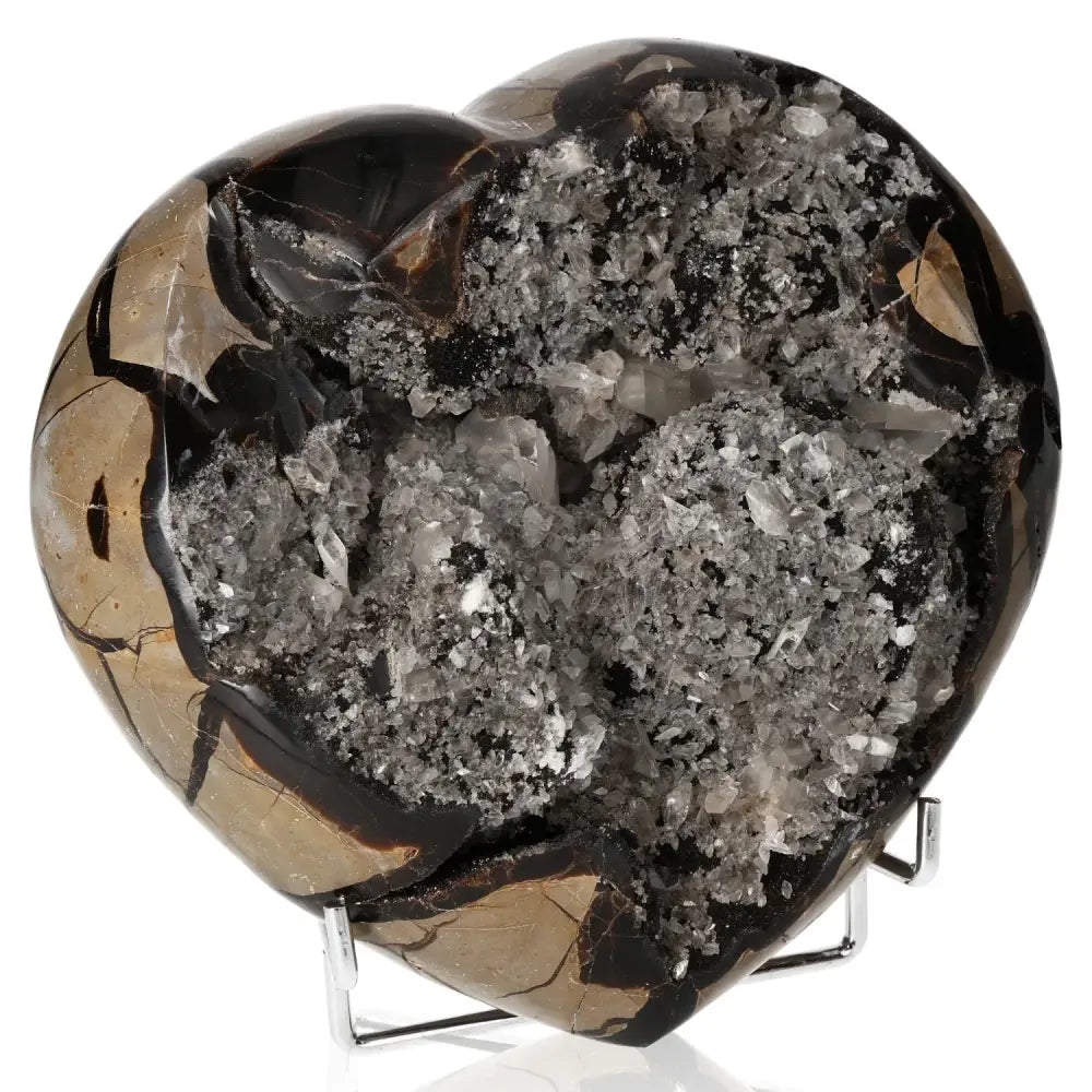 orbitvu|type:image2d