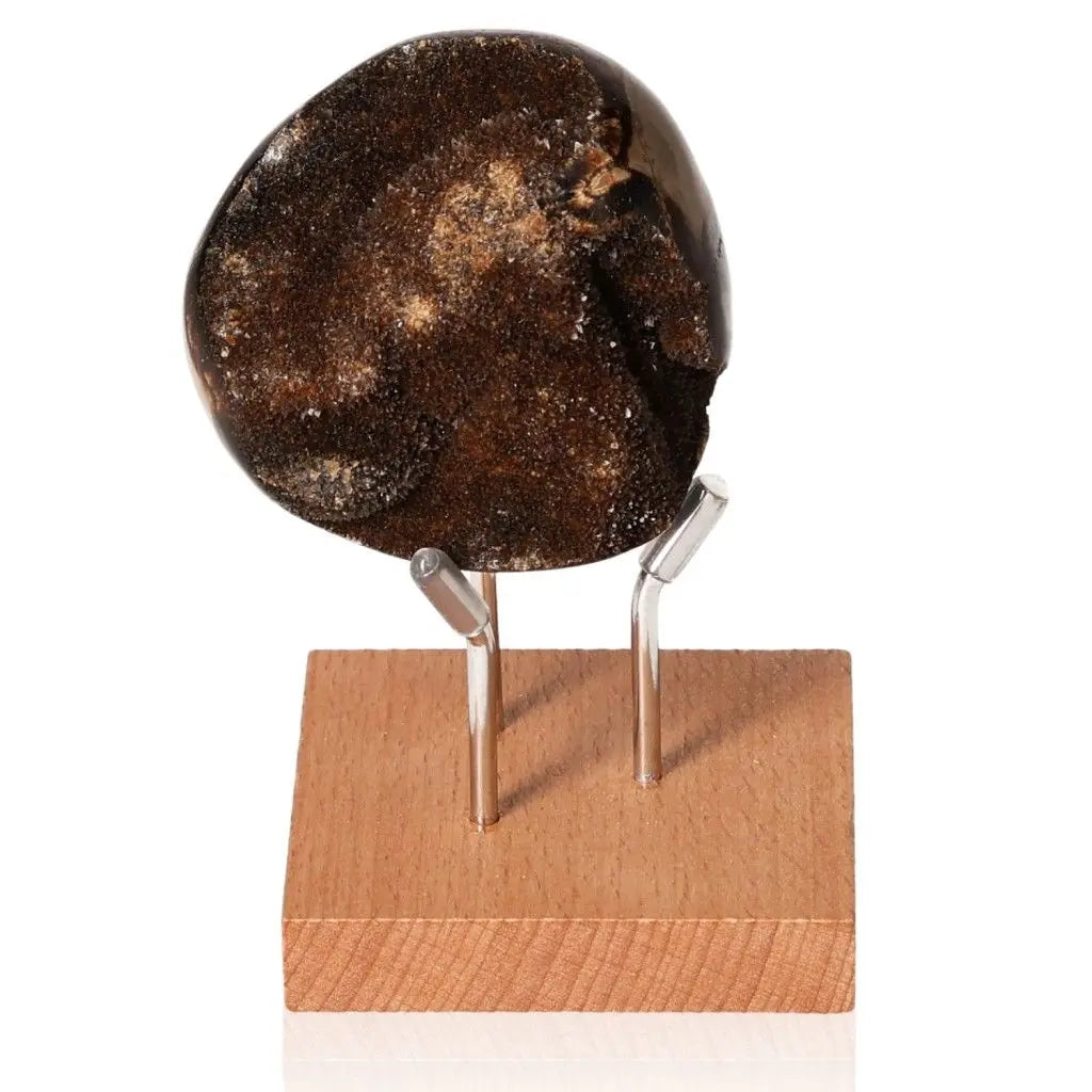 Septarian "Dragon Stone" displayed on wooden stand, showcasing its multidimensional properties and unique appearance.