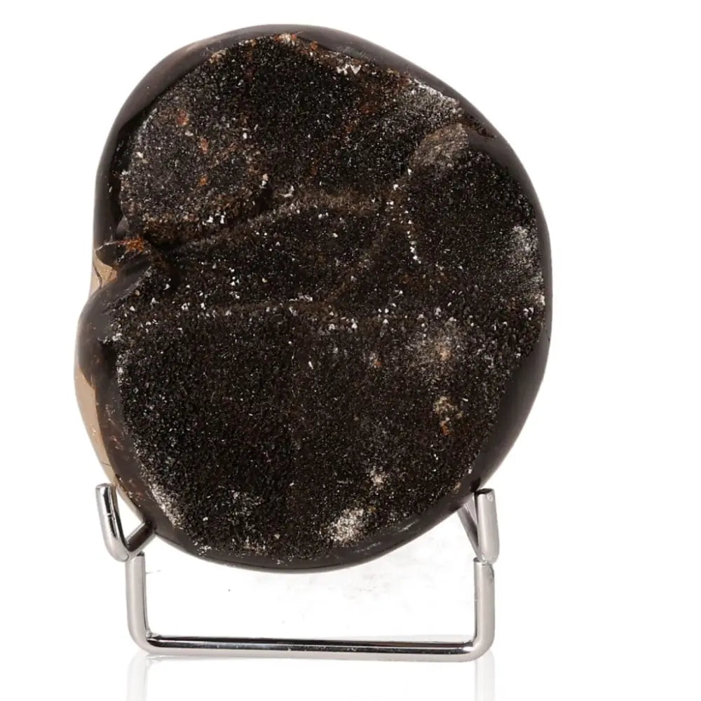 Septarian Dragon Stone on stand, showcasing its unique mineral pattern and deep symbolism of power and endurance in difficult conditions.