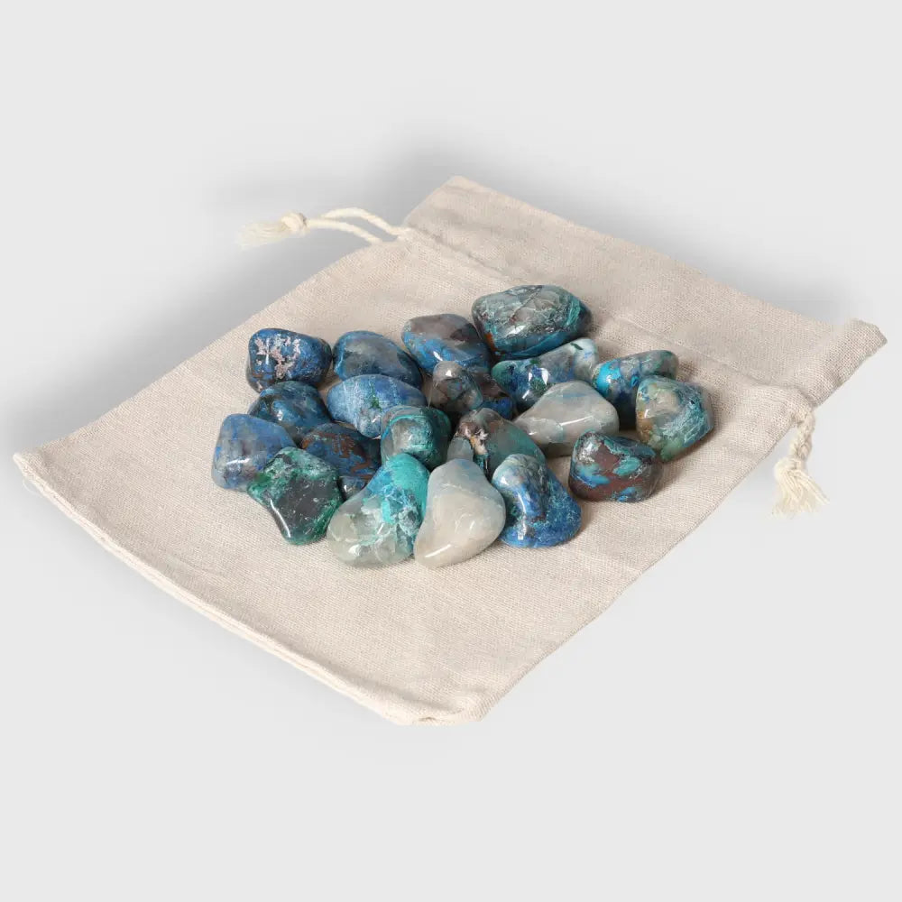 orbitvu|type:image2d