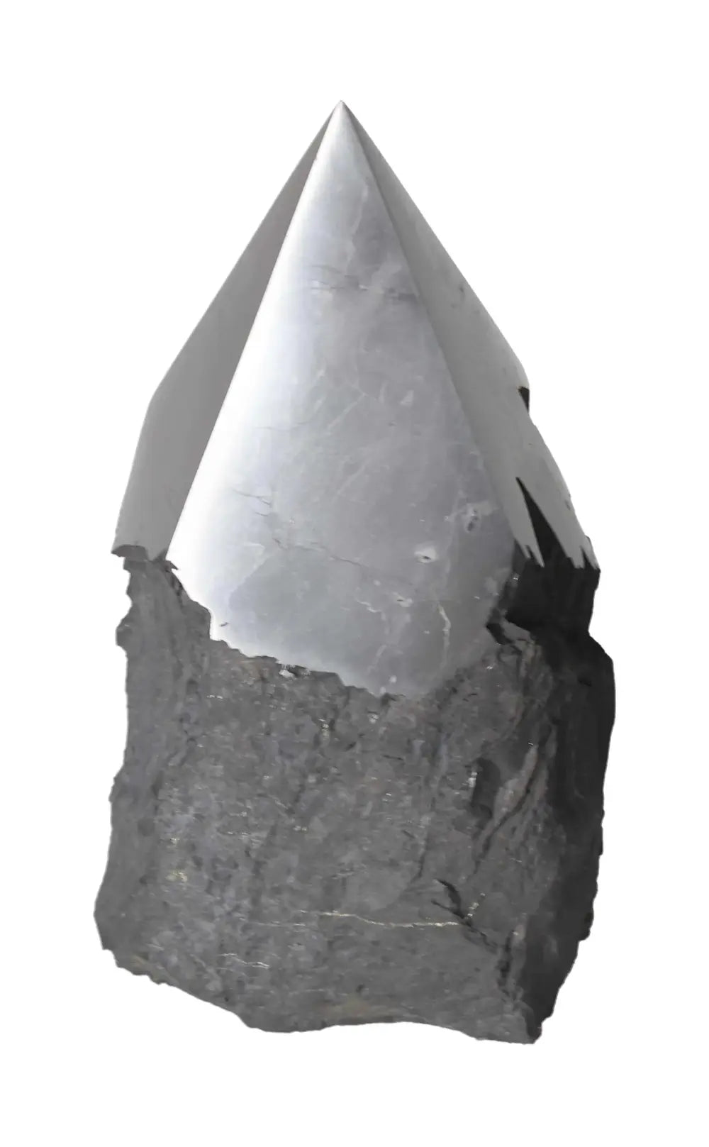 orbitvu|type:image2d