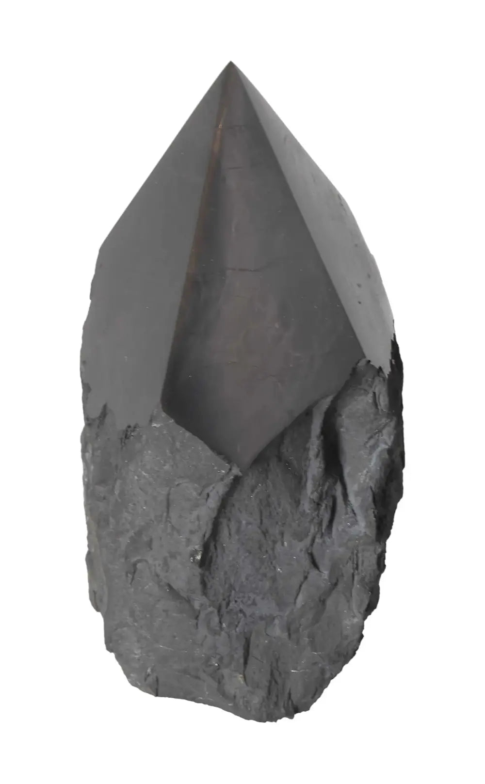 orbitvu|type:image2d