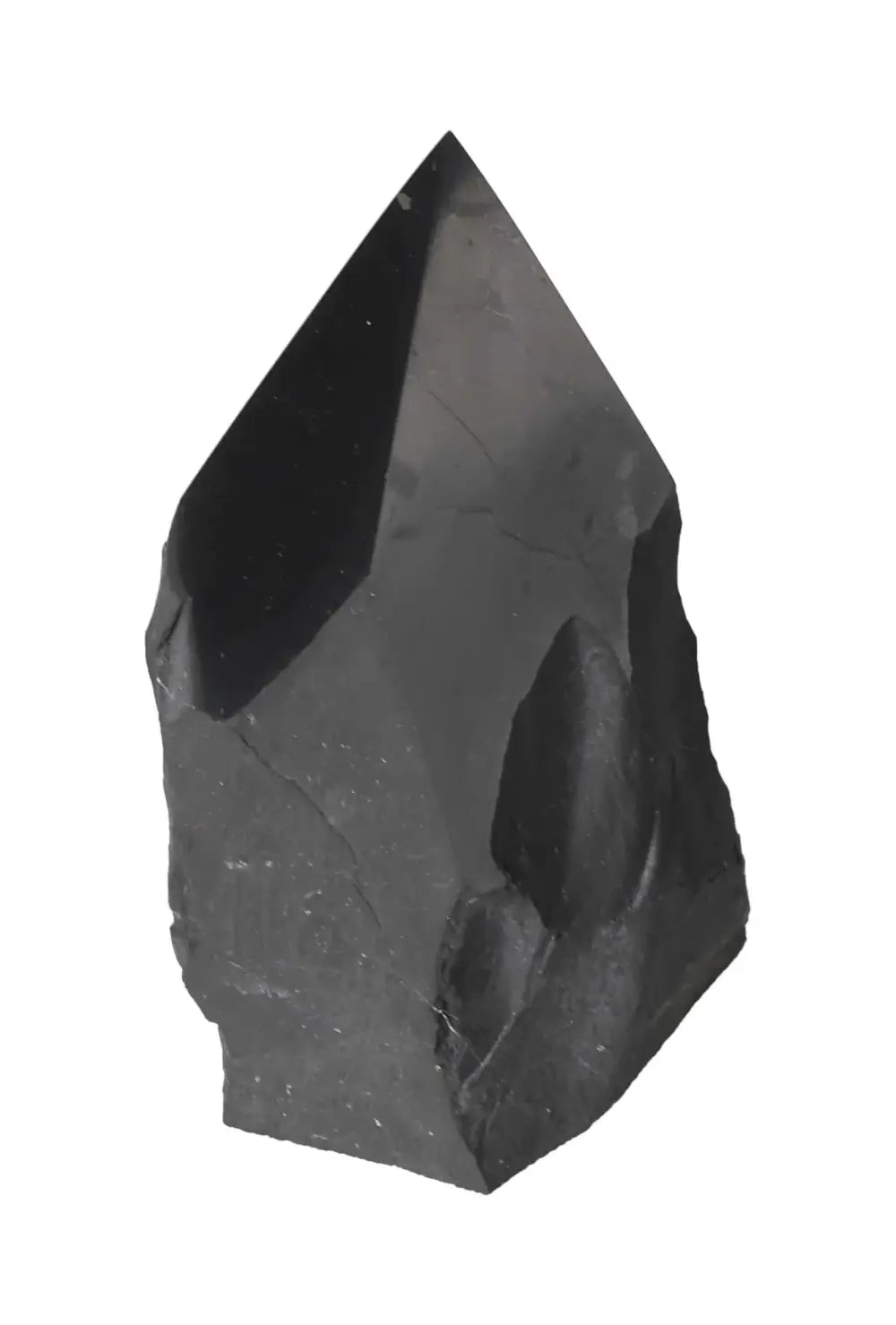 orbitvu|type:image2d