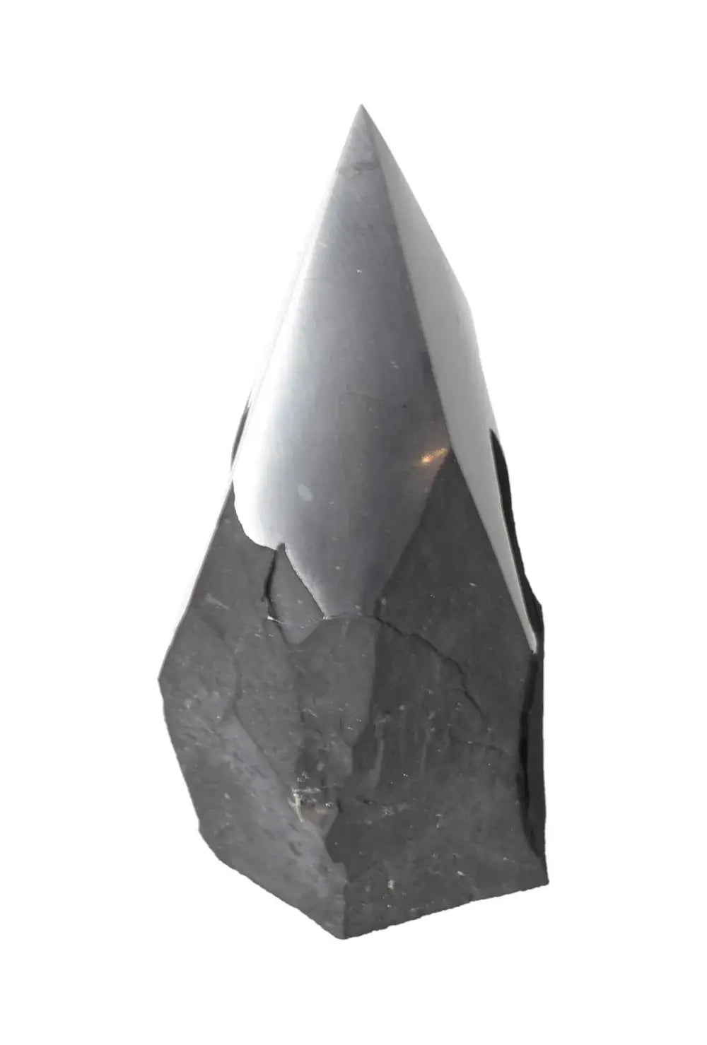 orbitvu|type:image2d