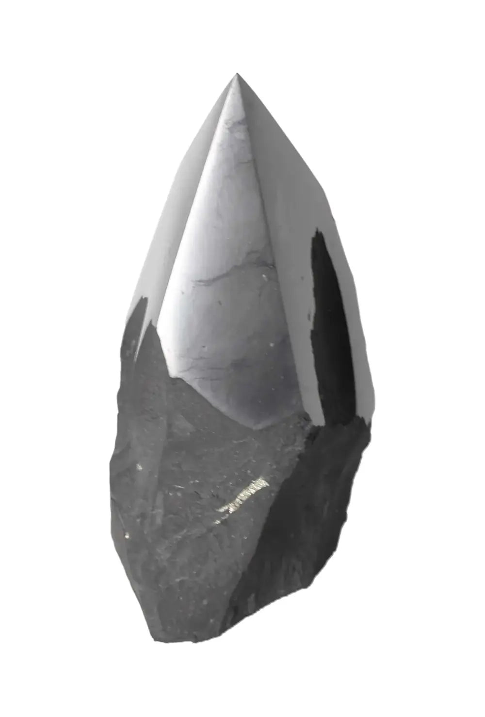 orbitvu|type:image2d