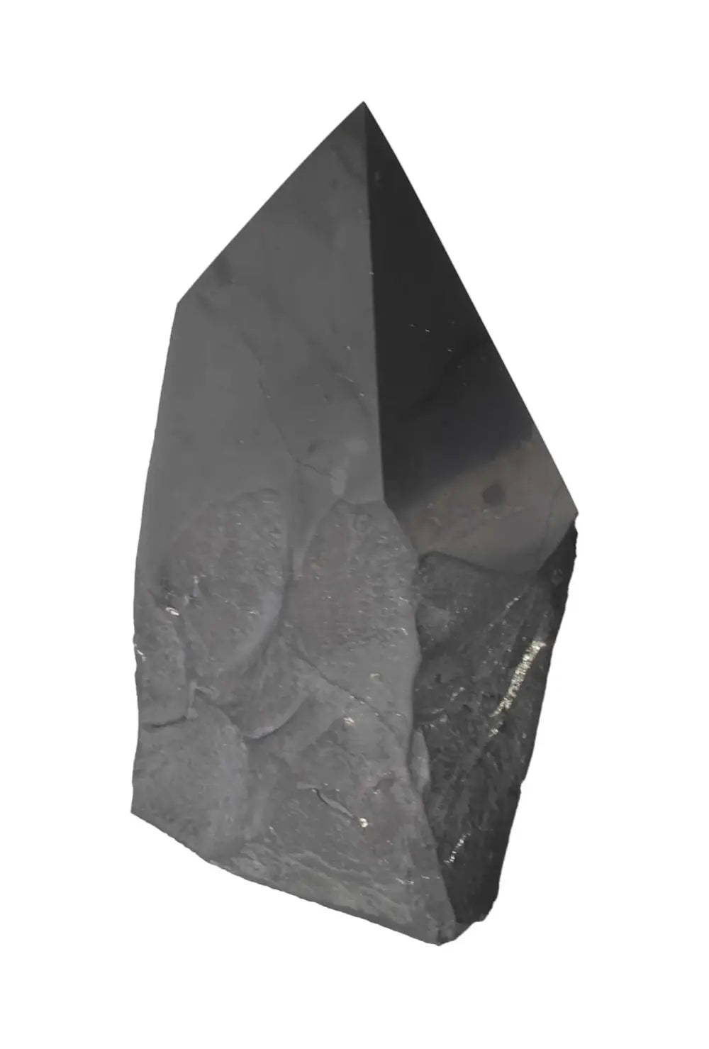 orbitvu|type:image2d