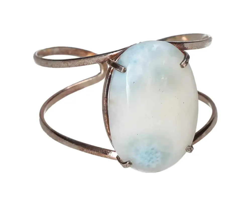 orbitvu|type:image2d