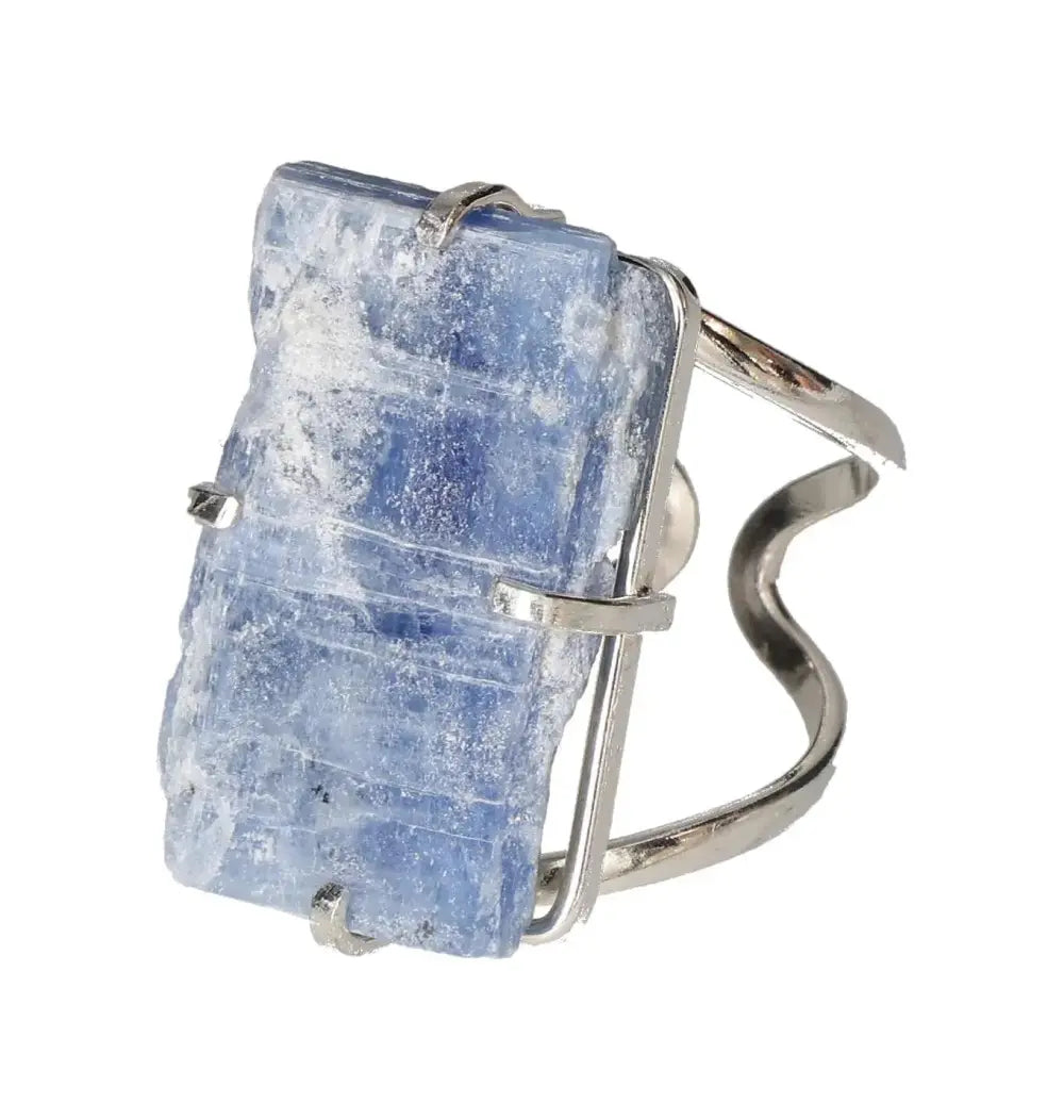 orbitvu|type:image2d