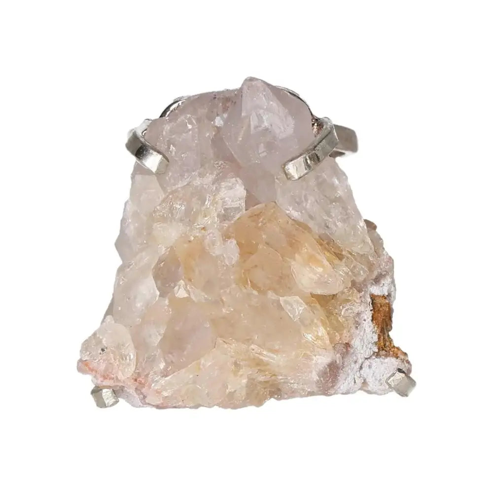 orbitvu|type:image2d