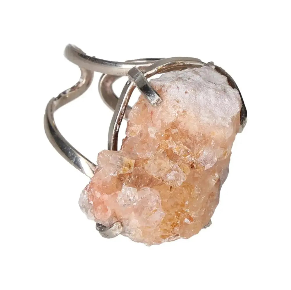 orbitvu|type:image2d