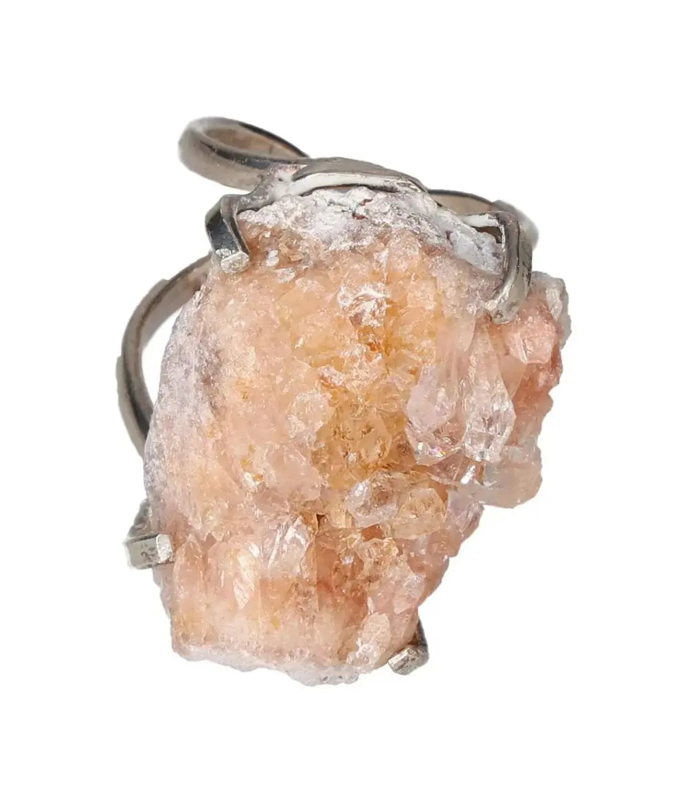 orbitvu|type:image2d