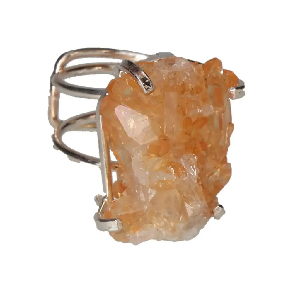 orbitvu|type:image2d