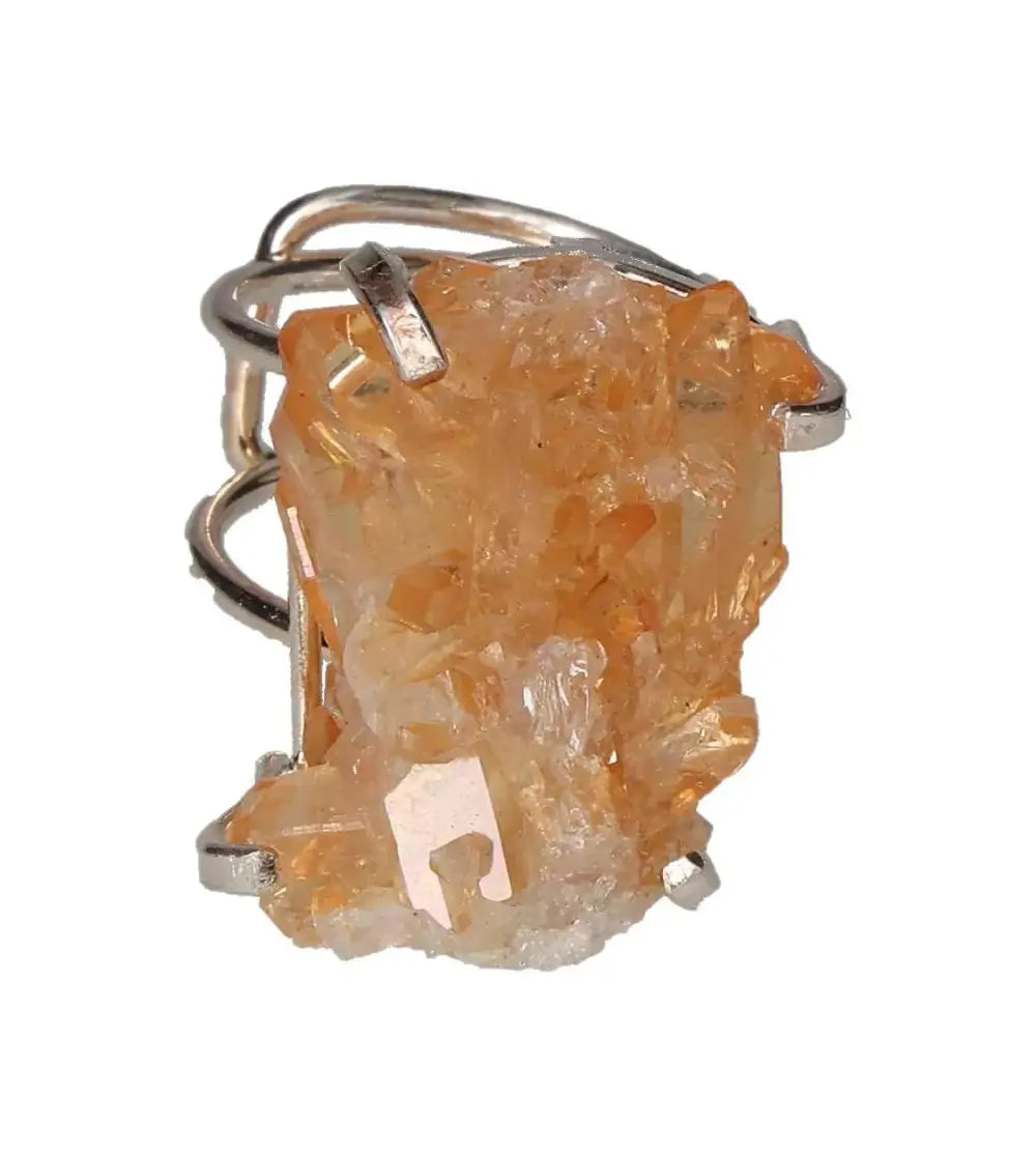 orbitvu|type:image2d