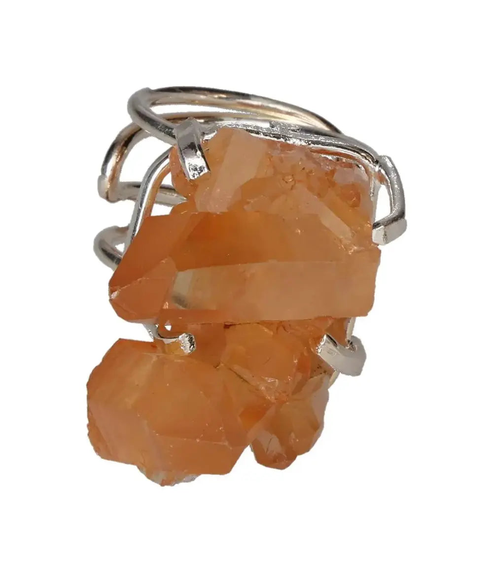 orbitvu|type:image2d