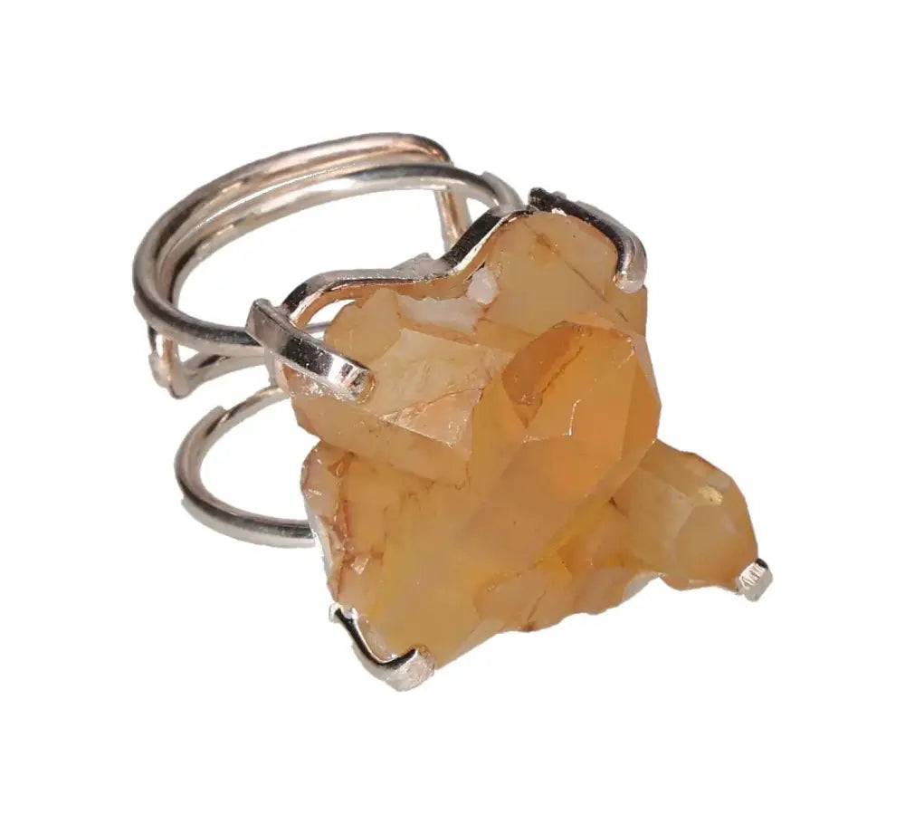 orbitvu|type:image2d