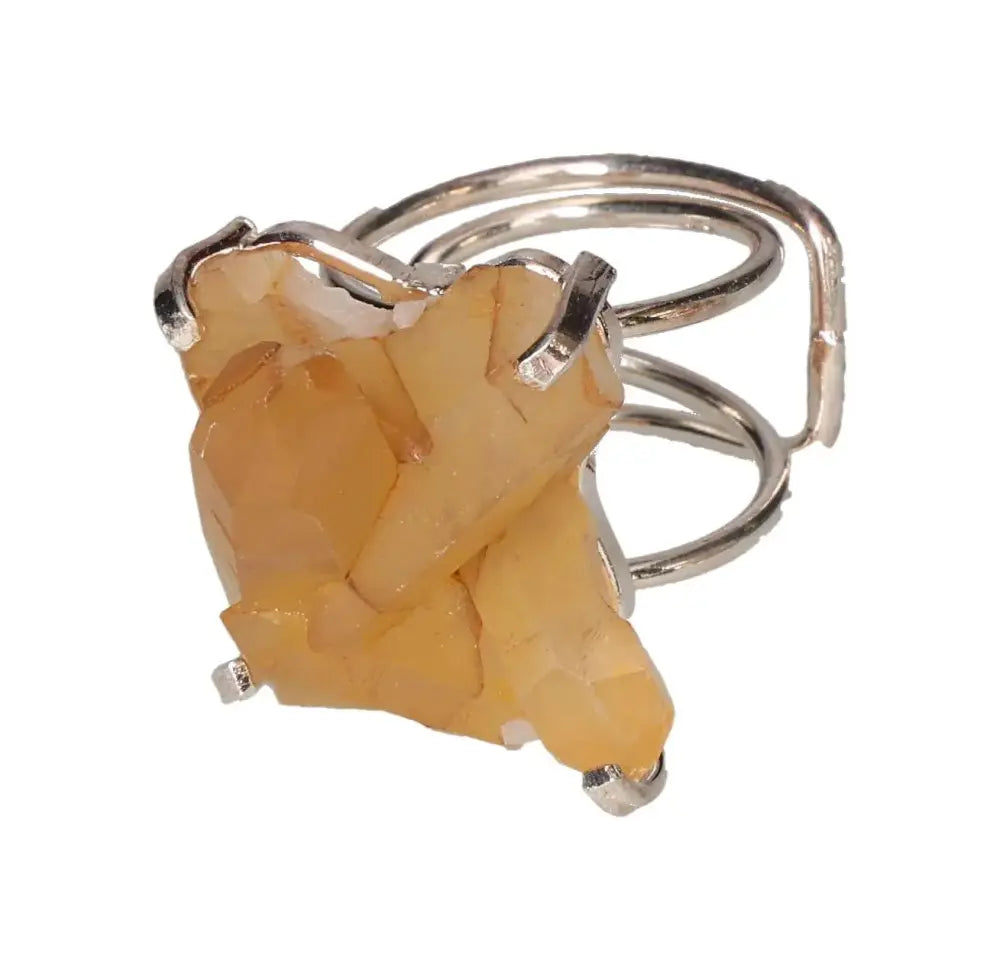 orbitvu|type:image2d