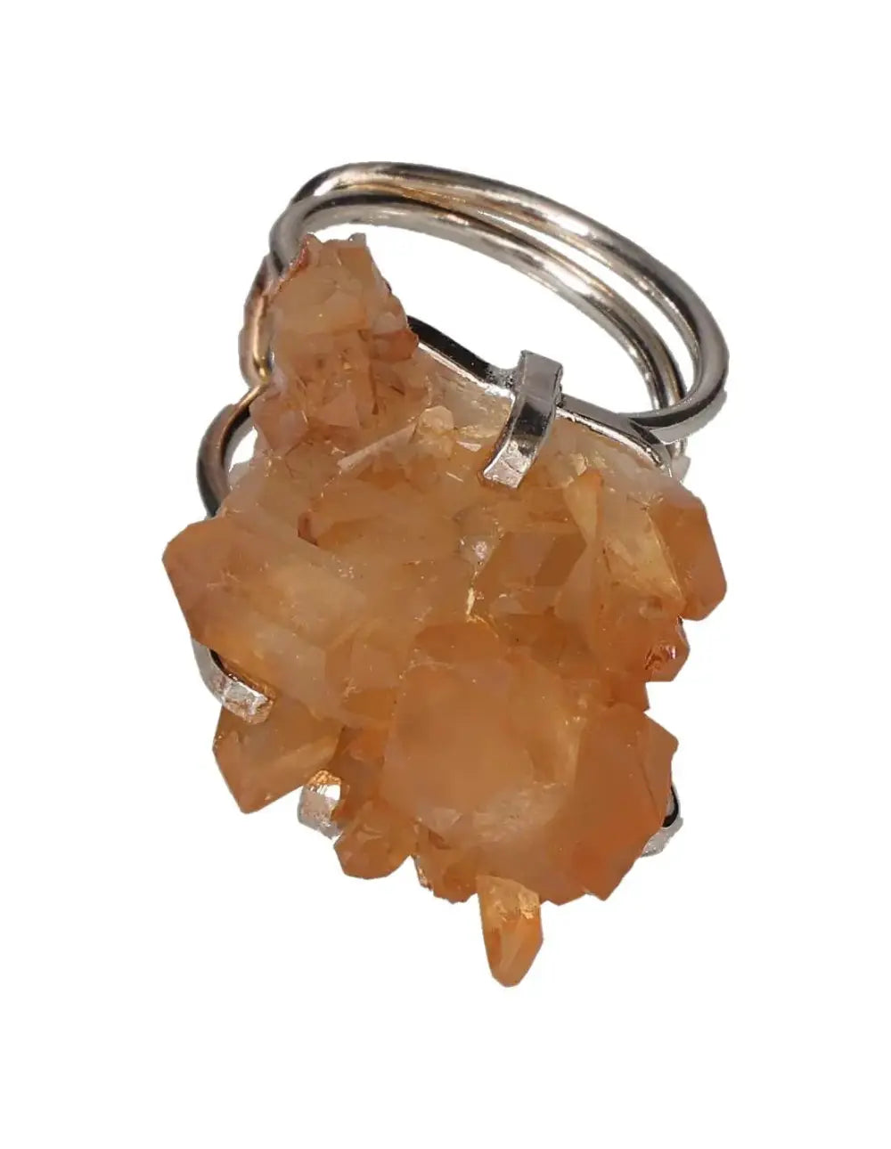 orbitvu|type:image2d