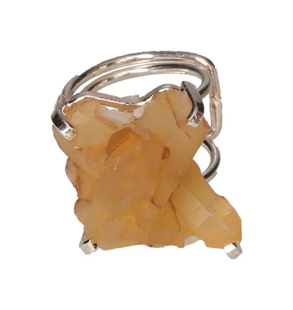 orbitvu|type:image2d