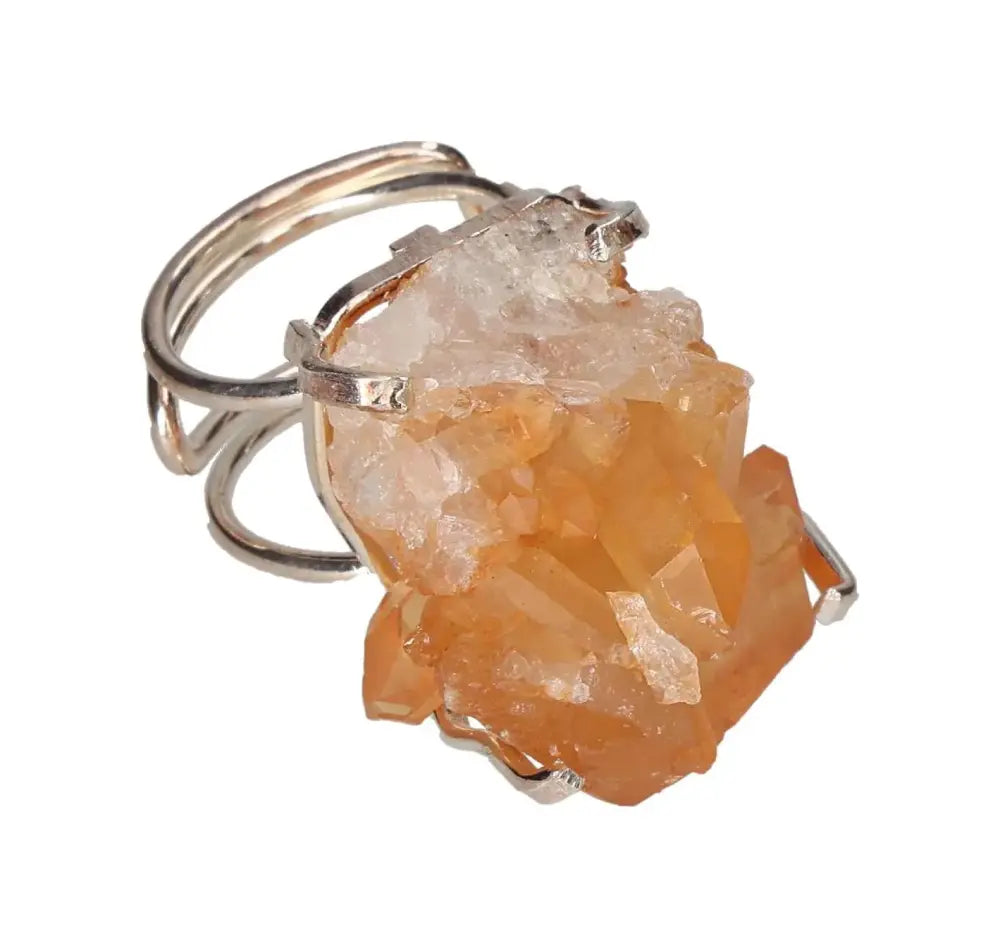 orbitvu|type:image2d