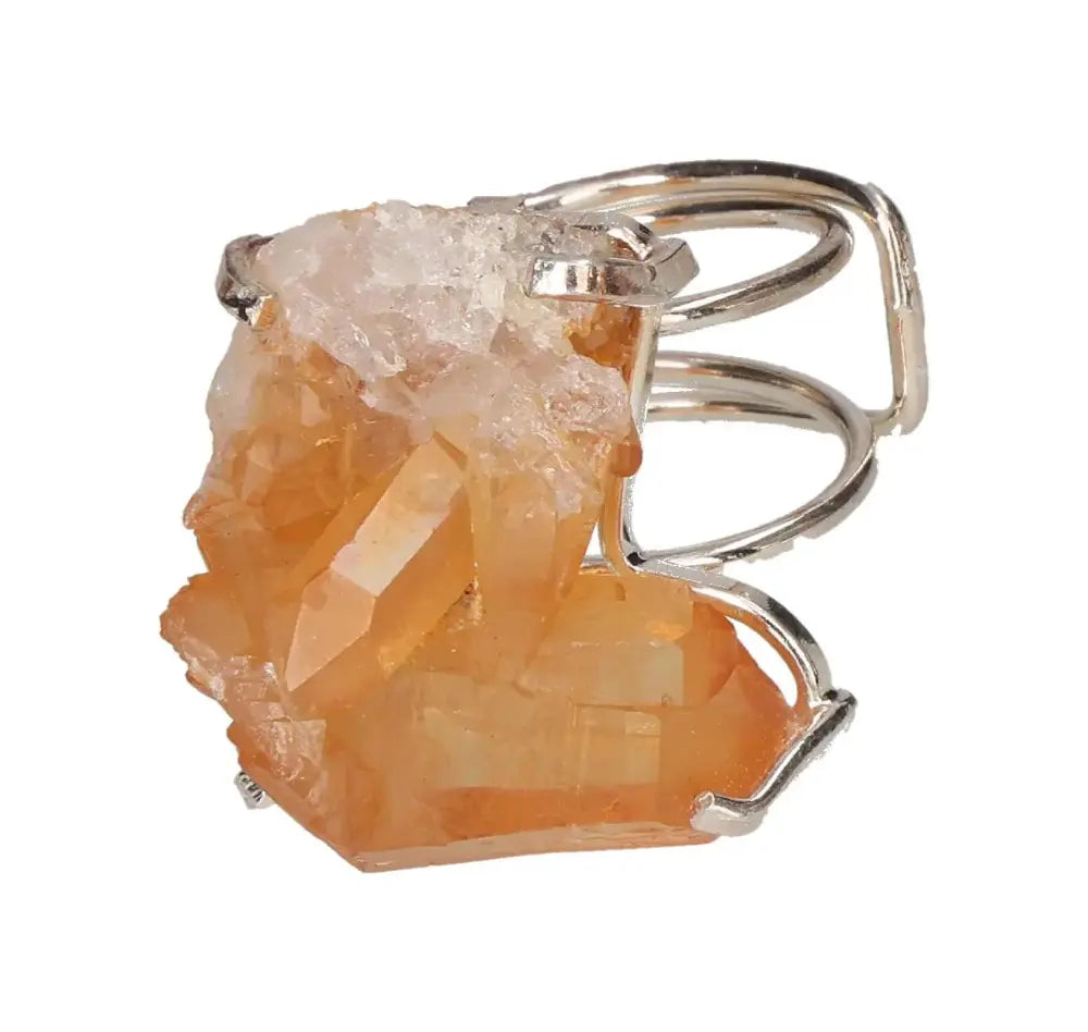 orbitvu|type:image2d