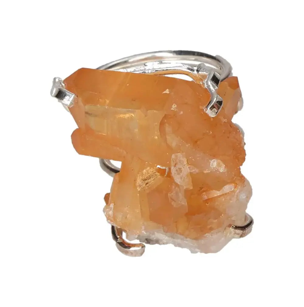 orbitvu|type:image2d