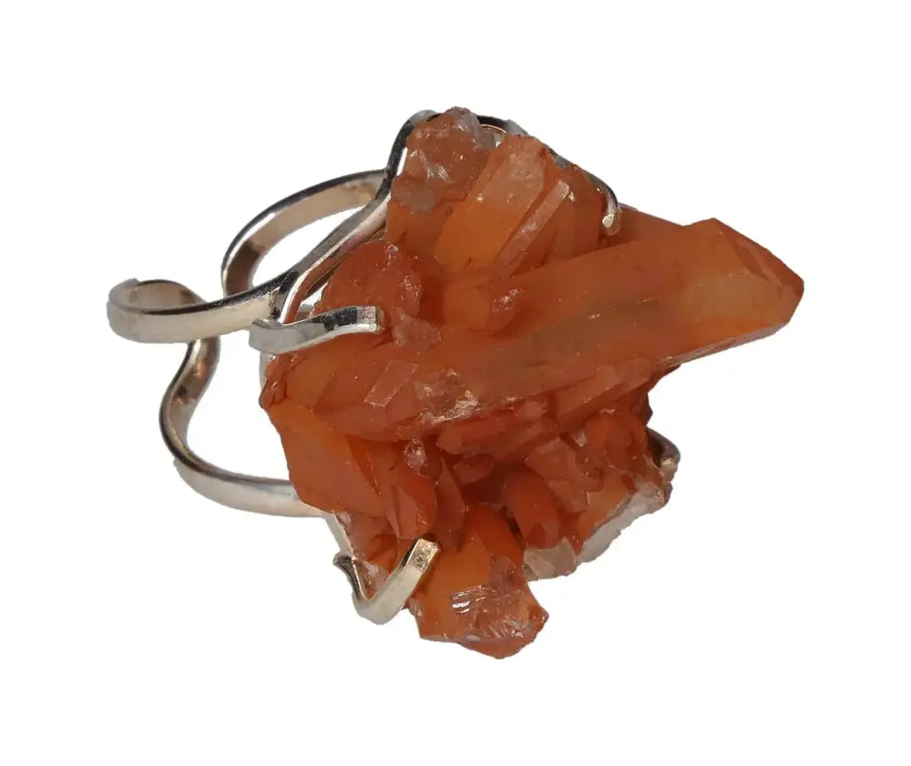 orbitvu|type:image2d