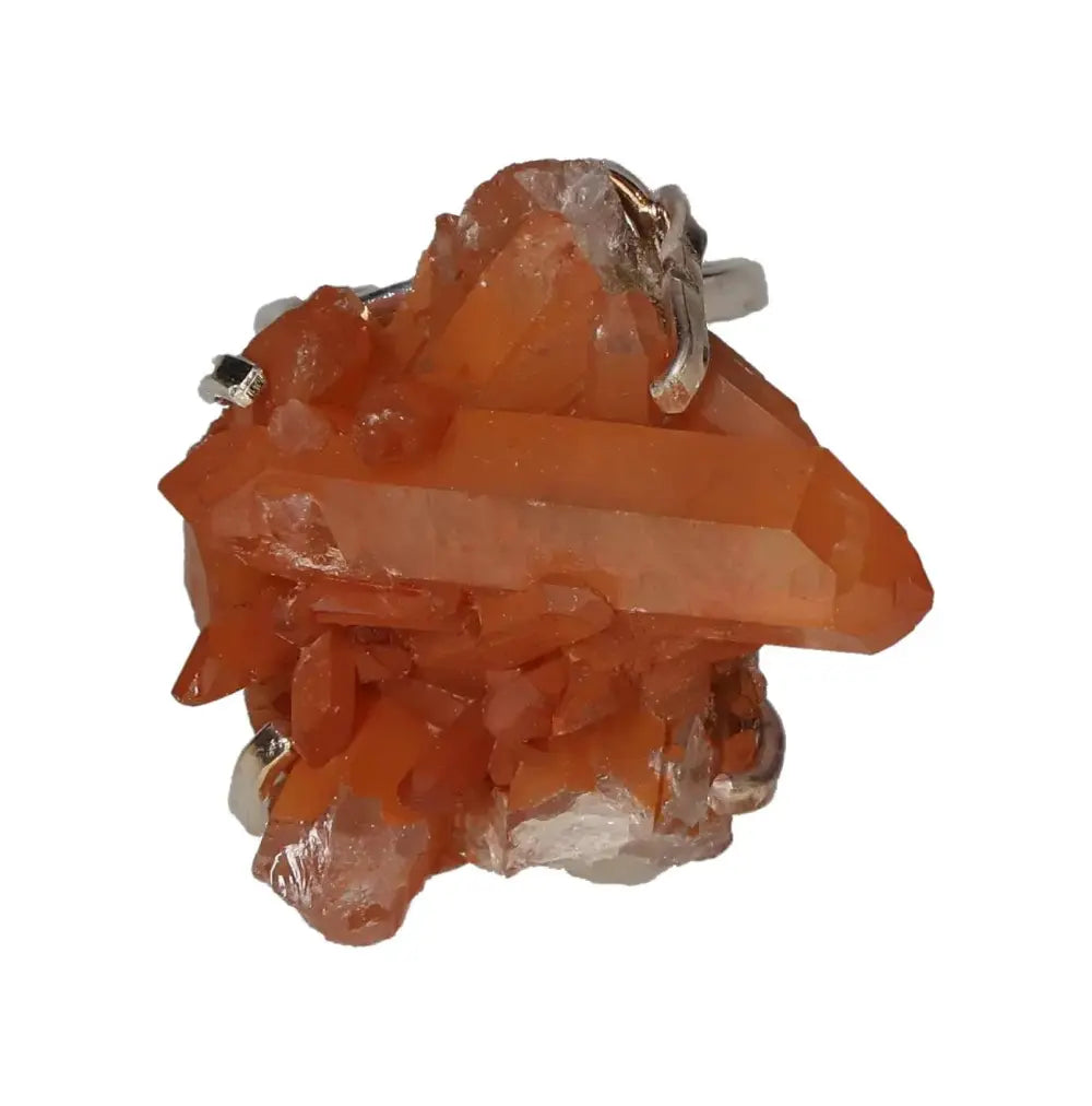 orbitvu|type:image2d