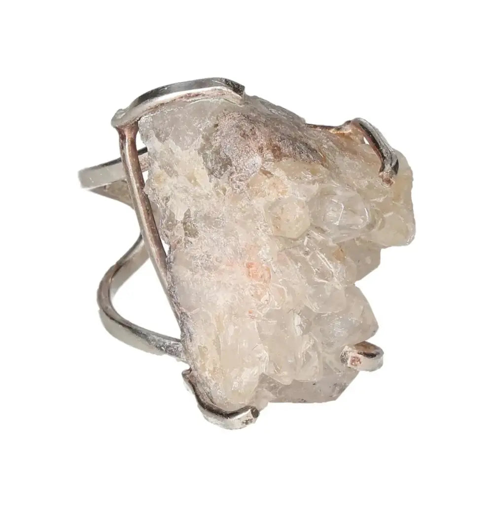 orbitvu|type:image2d