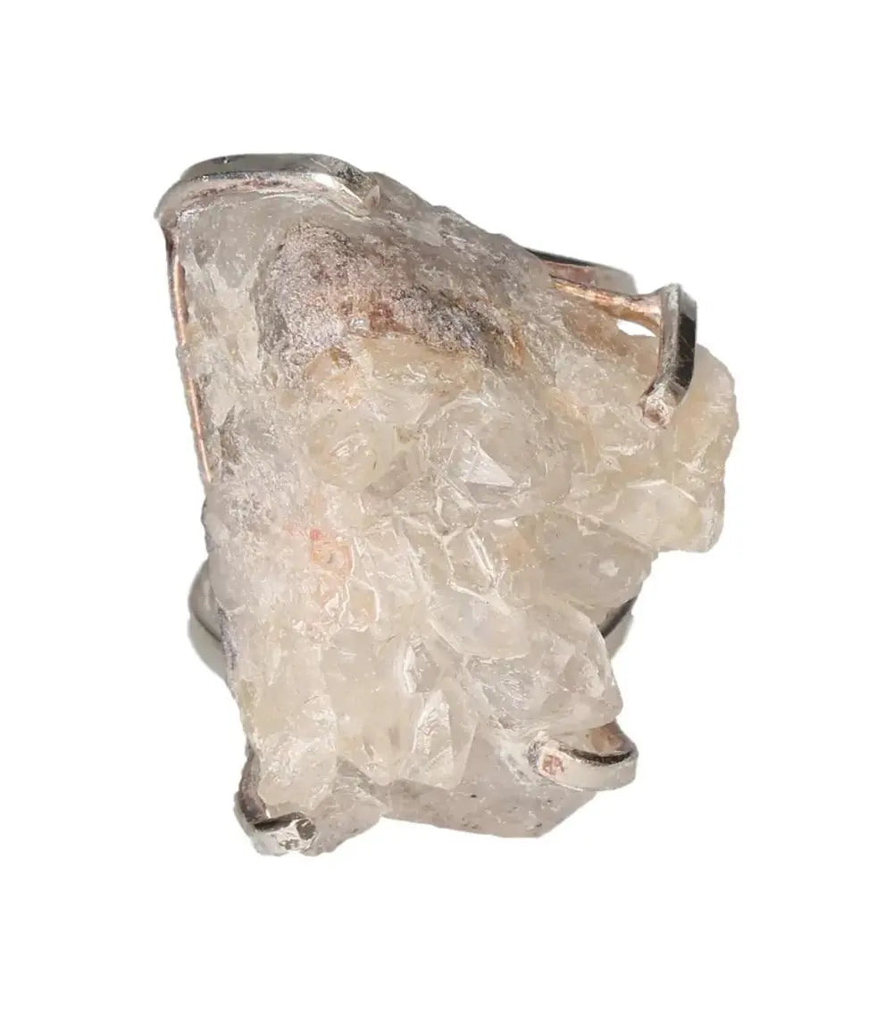 orbitvu|type:image2d