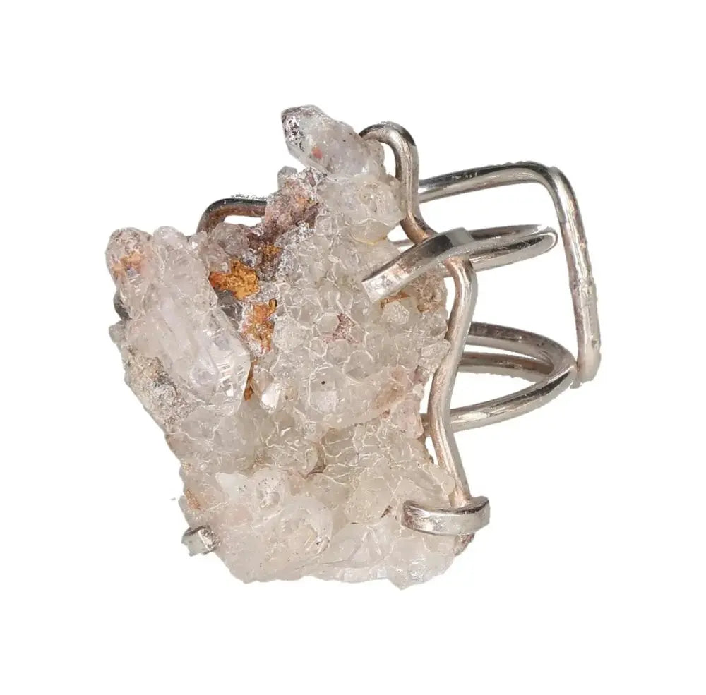 orbitvu|type:image2d