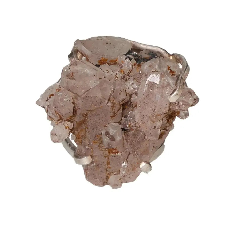 orbitvu|type:image2d