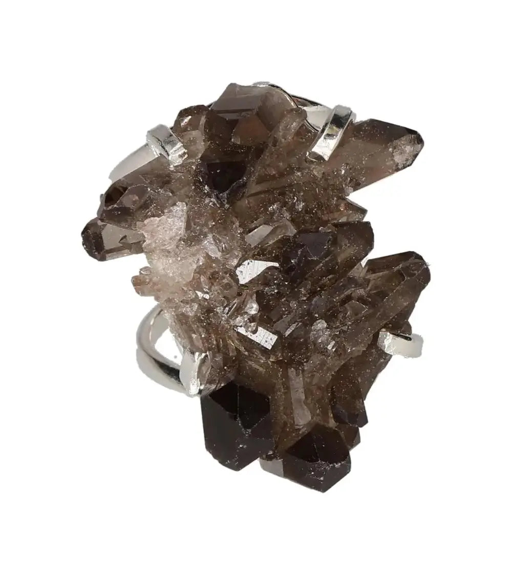 orbitvu|type:image2d