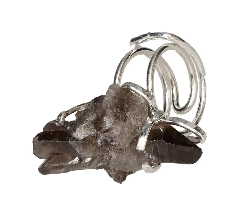 orbitvu|type:image2d