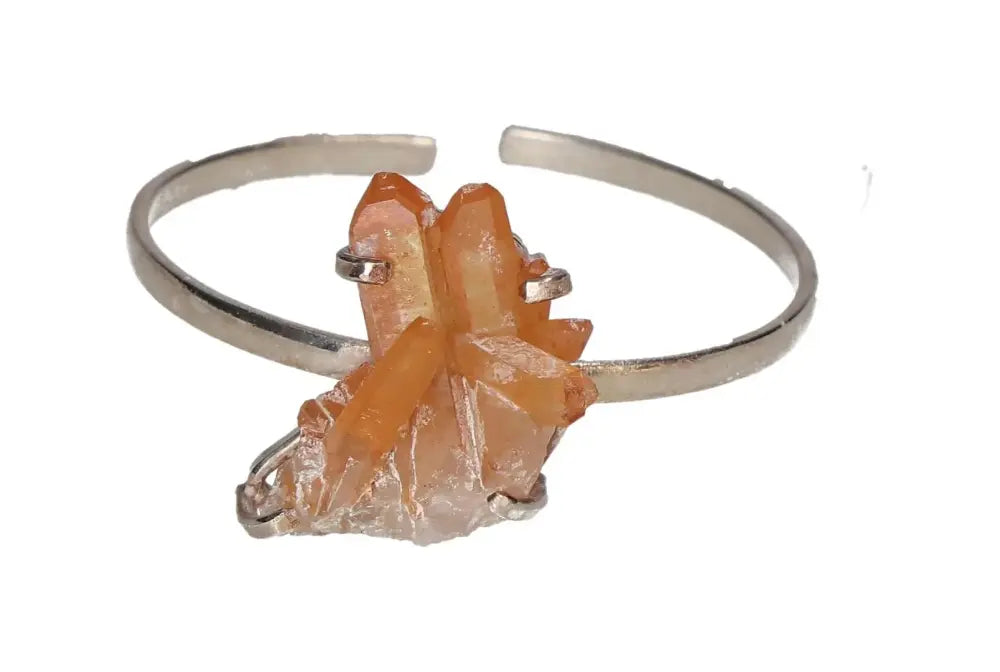 orbitvu|type:image2d