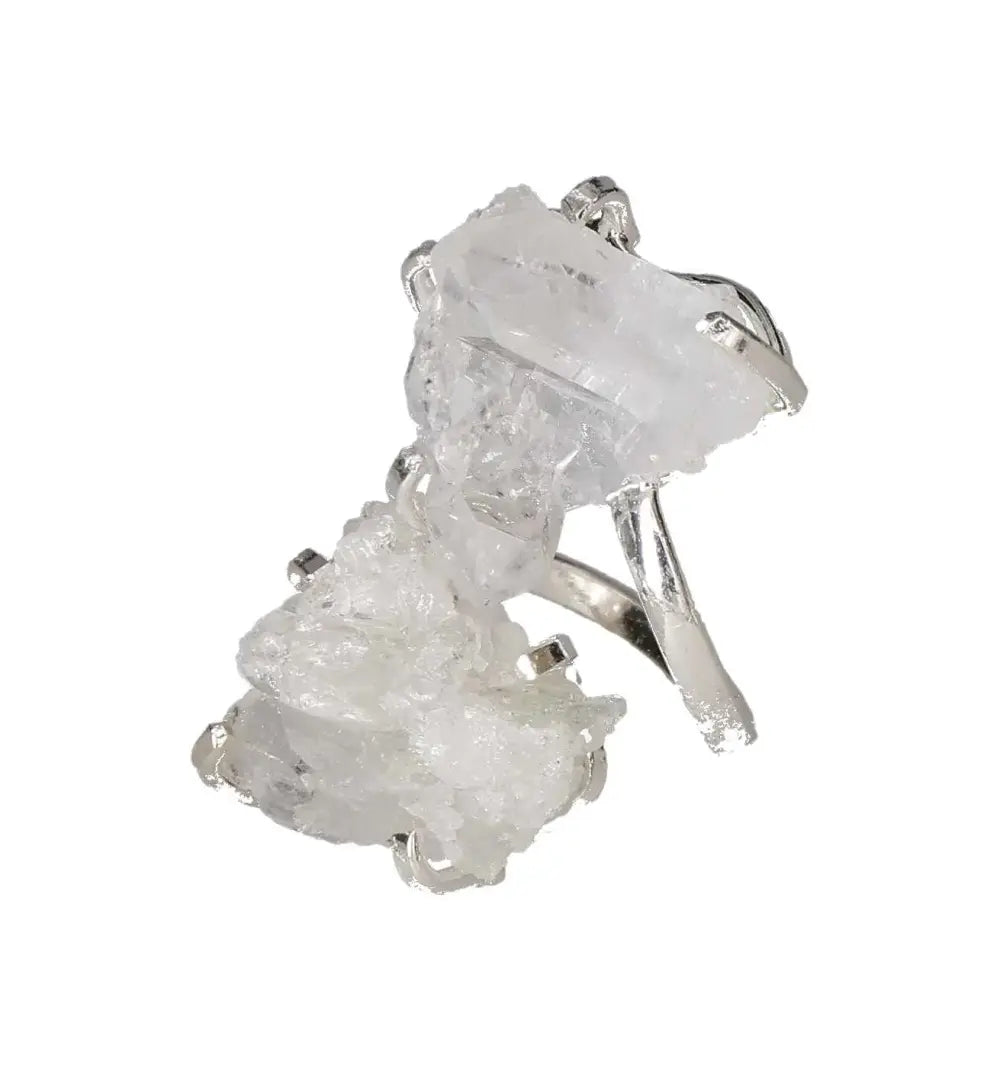 orbitvu|type:image2d