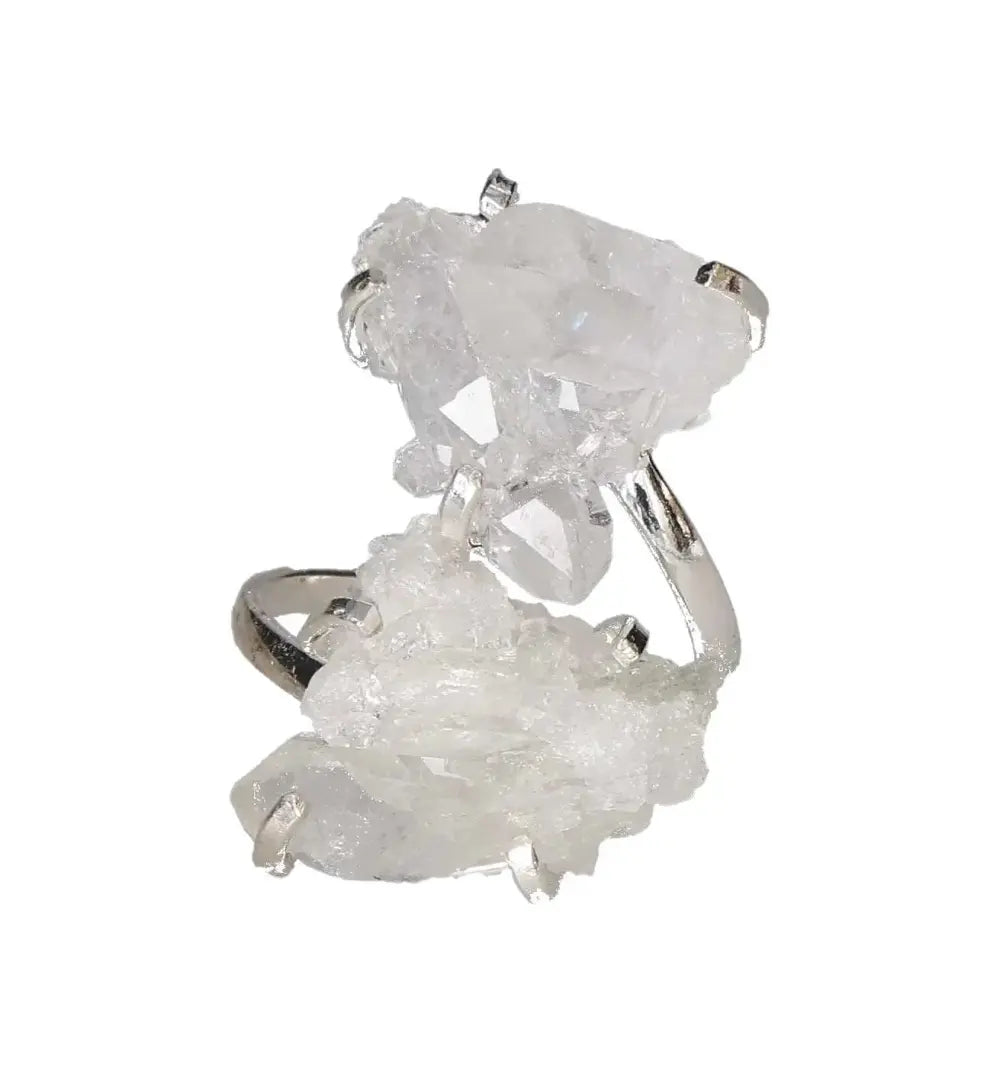 orbitvu|type:image2d