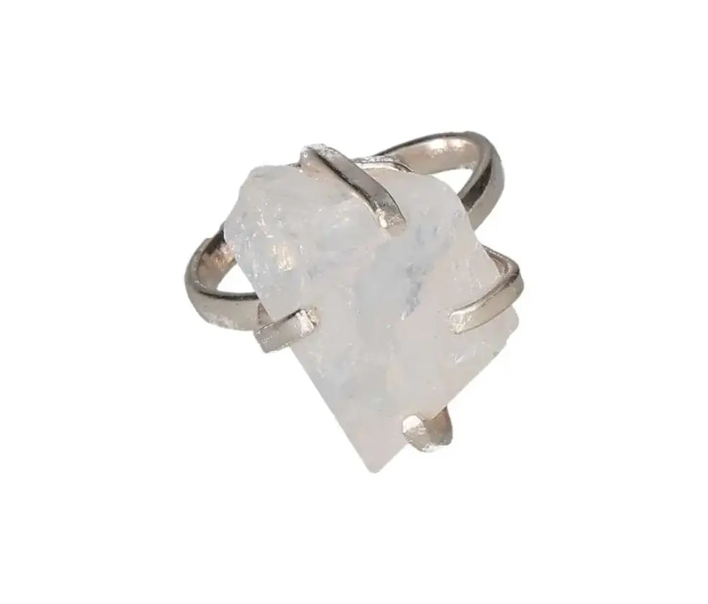 orbitvu|type:image2d