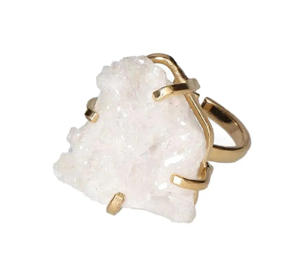 orbitvu|type:image2d