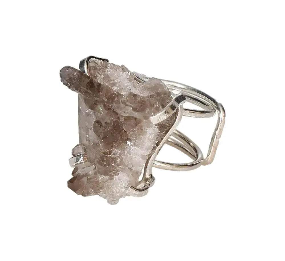 orbitvu|type:image2d