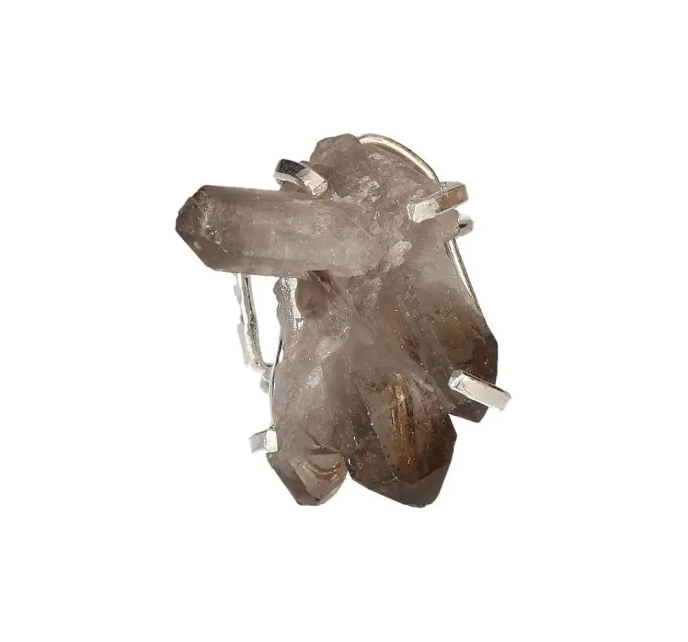 orbitvu|type:image2d