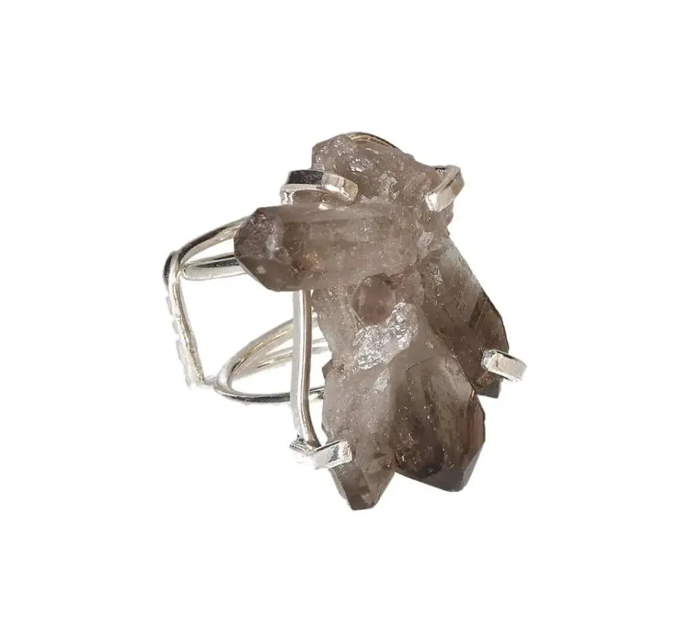 orbitvu|type:image2d