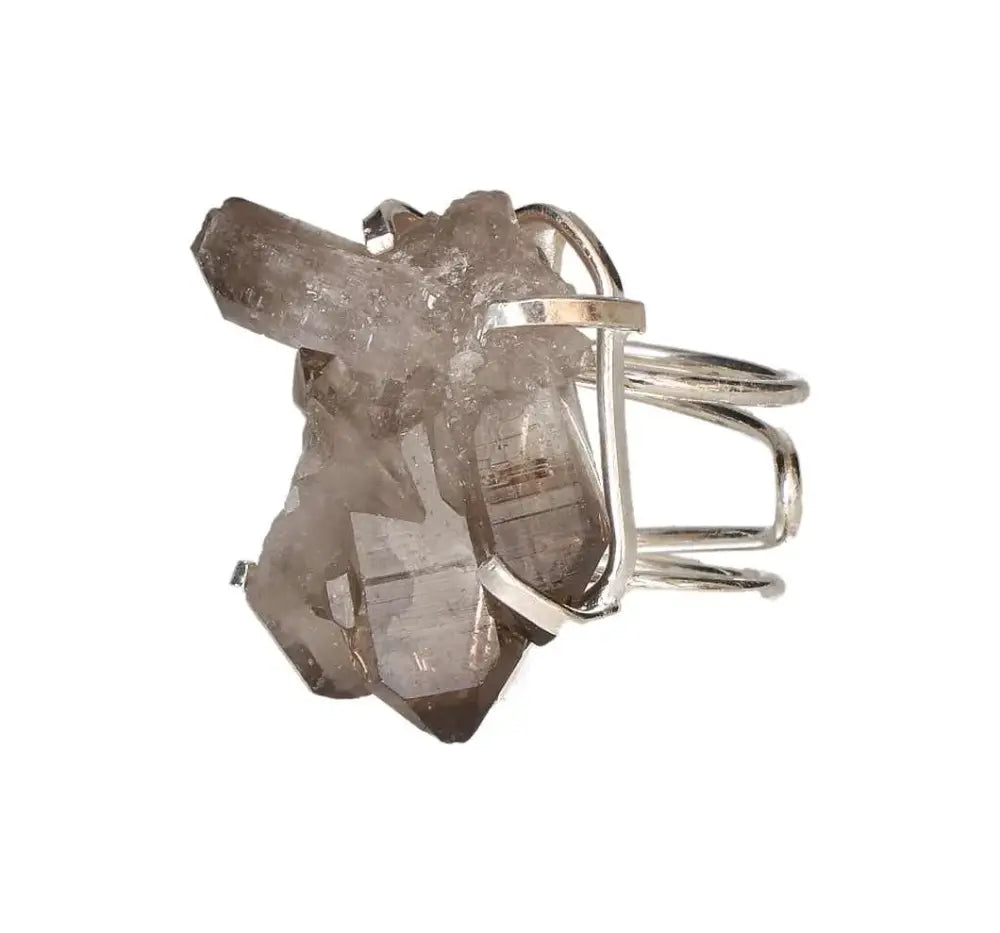 orbitvu|type:image2d