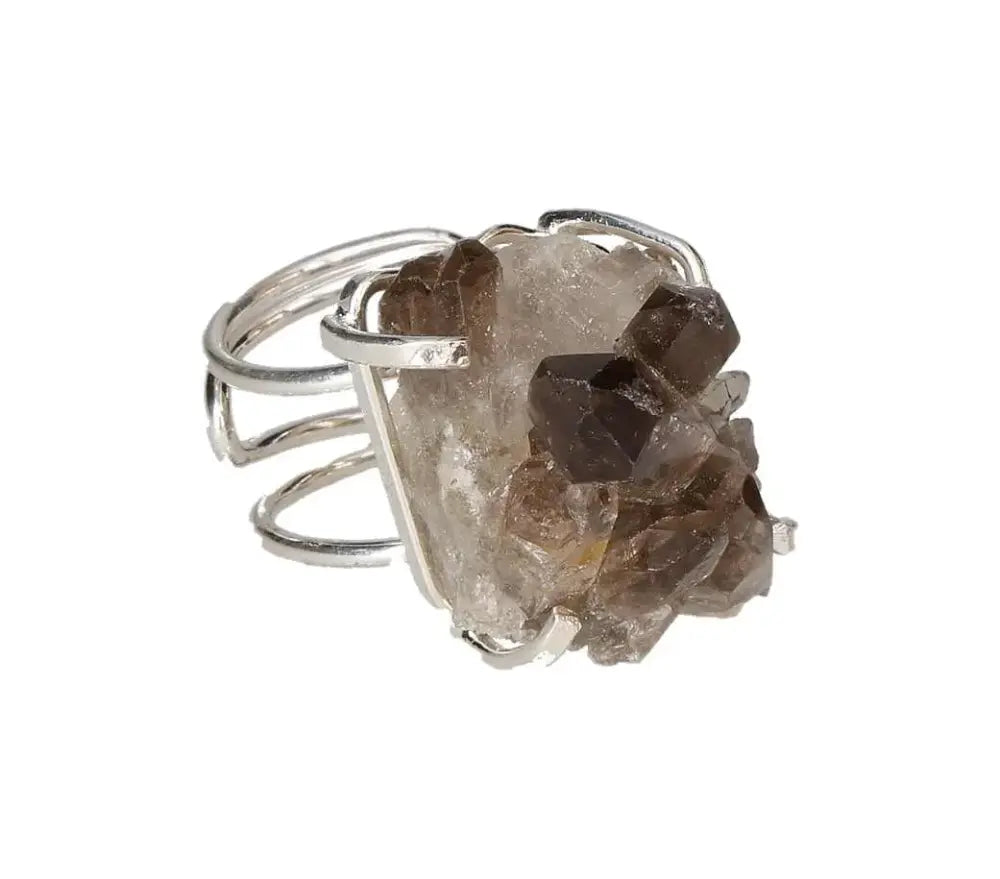 orbitvu|type:image2d