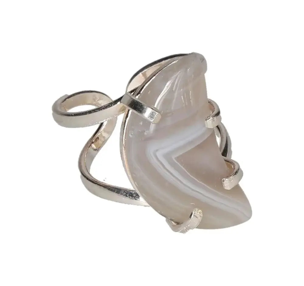 orbitvu|type:image2d