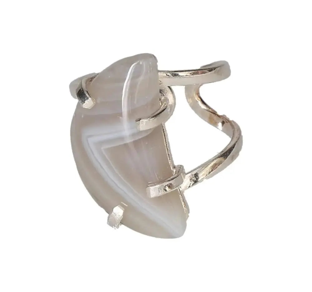 orbitvu|type:image2d