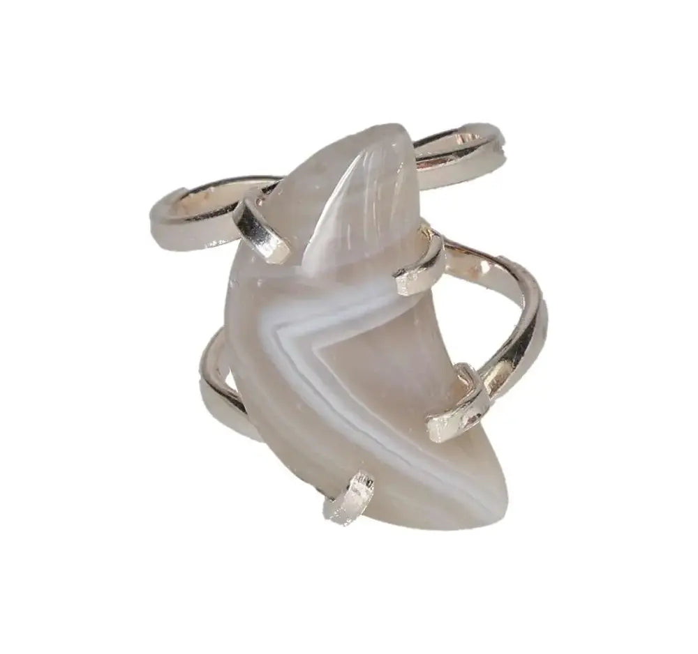 orbitvu|type:image2d