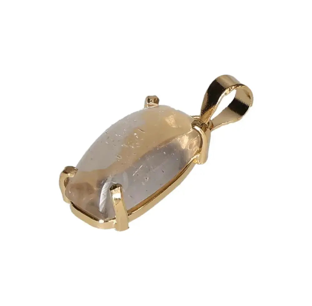 orbitvu|type:image2d