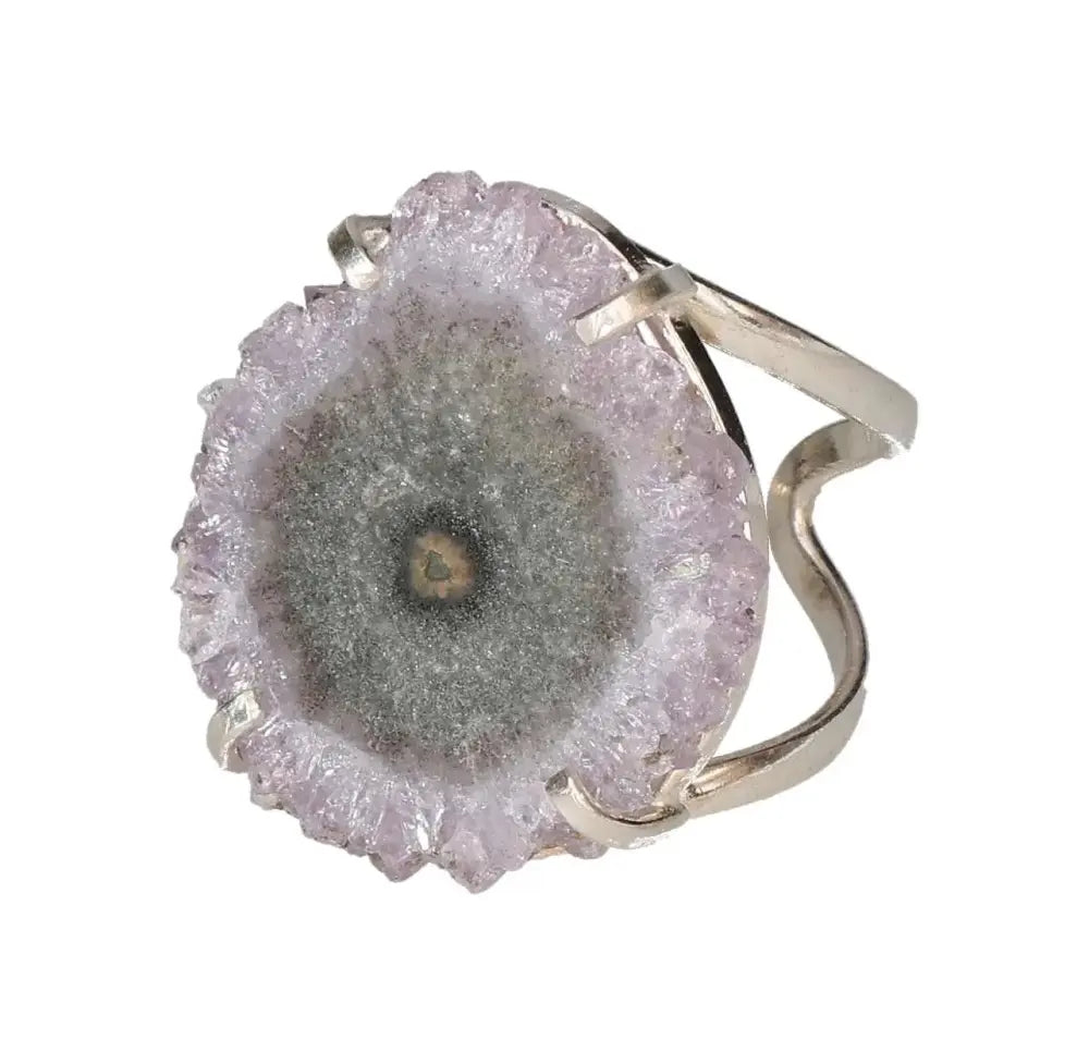 orbitvu|type:image2d