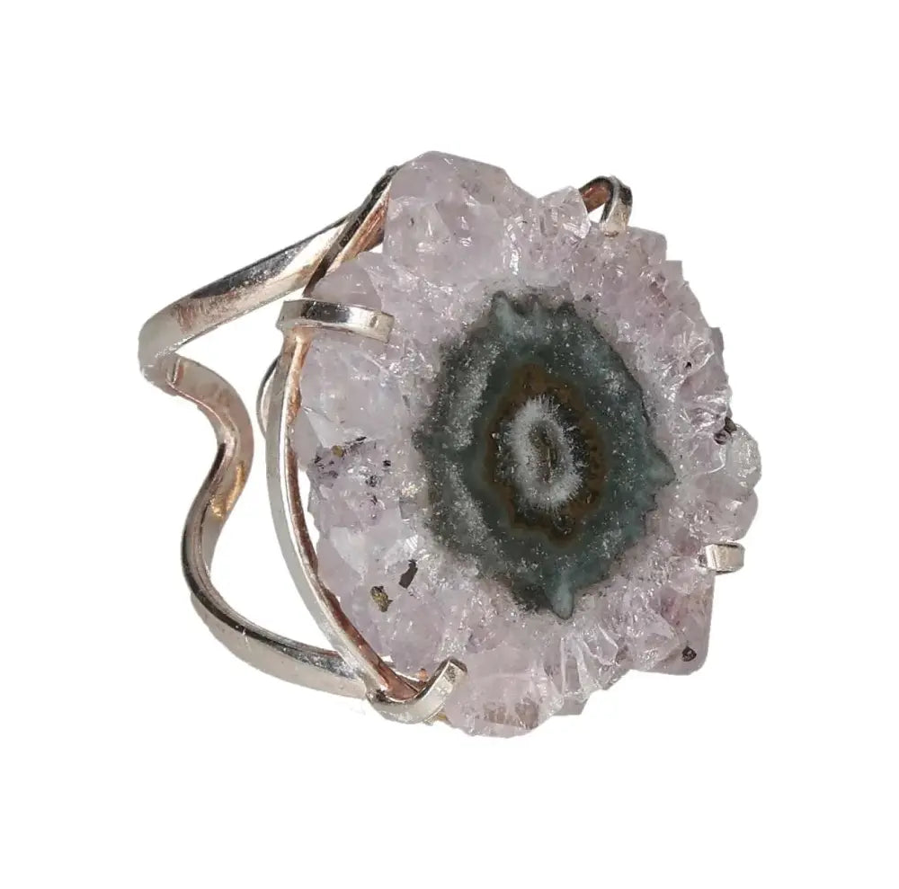 orbitvu|type:image2d